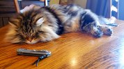 20220311_082946.jpg