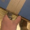 260E39CE-05D7-46CE-8547-692A575150E6.jpeg