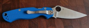 PM2 blue 02.jpg