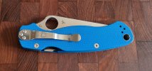 PM2 blue 04.jpg