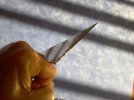 palm2edge1.jpg