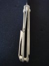 DSC09491.jpg