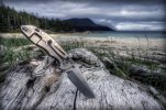 XM-18 on the beach.jpg