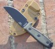 RAT_RC-3_02.jpg