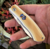 thumbnail_IMG_8337.png