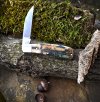 Tuna-2022-phoenix-mammoth154-02-loBF.jpg