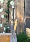 20220324_080938.jpg