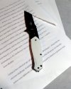 Manuscript.Swordfish.jpg