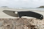 Spydiechefbeach.jpeg