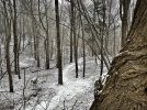 58C113C4-C6E6-41AF-9404-2B4DE32C0109.jpeg