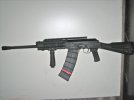 saiga.jpg