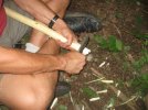 IMG_2793.jpg