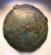 shield.jpg