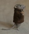MouseSweater.jpg
