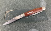 possum16.JPG