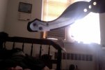 Photo on 3-30-22 at 9.05 AM.jpg