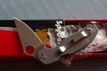 spyderco 31 march22 002.JPG