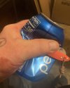F9DB514C-FEDF-4659-B84E-1E00D1B77479.jpeg