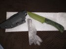 IMG_20220404_210852470.jpg