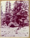 winds 1974-1.jpg