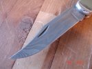 DSC05372.JPG