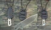 bk 13 remora.jpg