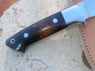 Knife Hunter #206 IronwoodbrlLLDP 154CM REVHNDLE ok.jpg