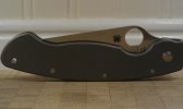 Spyderco Ti Military C36TIP.jpg