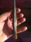 mason knives 159.jpg mason knives 159.jpg