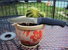 DSC03151.jpg