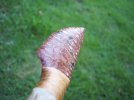 100_4554.JPG