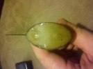 2012-08-03_16-41-19_745.jpg
