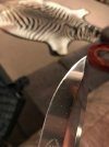 Terzuola atcf wood 3.jpg