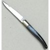 aveyronnais-horn.jpg