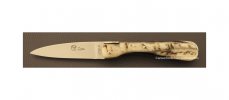 corsican-pialincu-classic-full-handle-ram-horn.jpg