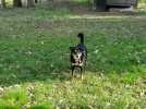 Resized_20220410_174142.jpeg