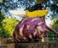 Kohlrabi_and_Yellow_Enuff_small.jpg