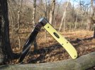 slimtrap.mark.Vopen.woods.jpg