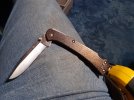 buck 110 slim pro br.jpg