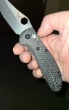 Flytanium Scales.jpg