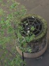 Aeration.jpg