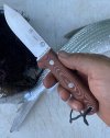 600C90AA-B836-4EED-8221-C972E38BE98F.jpeg