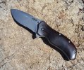 ZT2.jpg