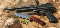 Bucks Guns 01 (1).JPG