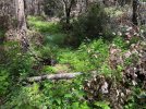 6808E6BD-D525-47BA-A51C-FA62393D28B1.jpeg