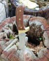 IMG_20220110_162959414.jpg