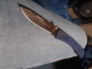 Buck 110 slim blue drop point s30v.jpg