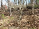fire4.jpg