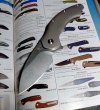 Roach catalog.jpg