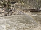 CumberlandFalls6.JPG